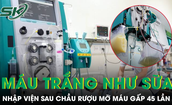 Sau bữa nhậu, người đ&#224;n &#244;ng nhập viện, m&#225;u chuyển m&#224;u trắng đục như sữa