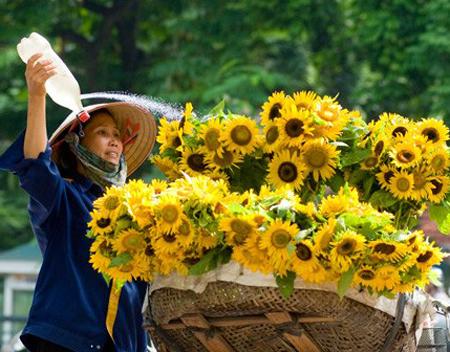 nắng ấm, nhiệt độ tăng