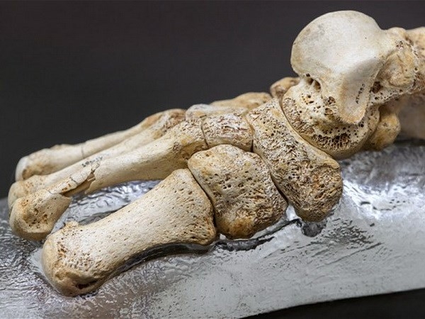 Bàn chân của người Homo heidelbergensis ở Bảo tàng Tiến hóa loài người tại Burgos