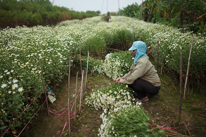Toàn cảnh hai quận mới của Thủ đô 12