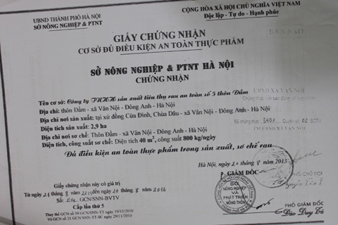 Hàng ngày vẫn mua rau bẩn, rau không rõ nguồn gốc cho siêu thị, trường học nhưng cơ sở của anh Bình vẫn được Sở NN&PTNT cấp giấy chứng nhận đủ điều kiện an toàn thực phẩm trong sản xuất, sơ chế rau. 