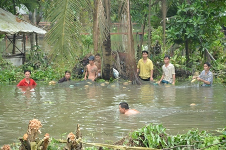 Ngụp lặn để kéo chài