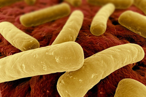  	Chostridium Difficile gây bệnh tiêu chảy có cơ hội phát triển khi dùng erythromycin.