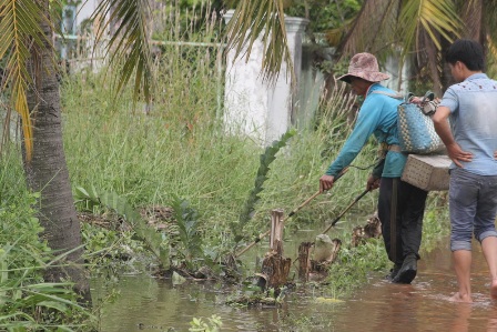 Xung điện ngay giữa đường để bắt cá