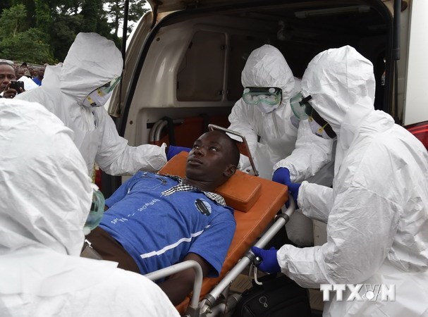 Nhân viên y tế chuyển một bệnh nhân nhiễm Ebola tới bệnh viện ở Biankouma, Costa Rica ngày 14/8. (Nguồn: AFP/TTXVN)