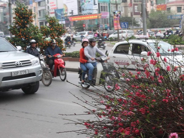 (Ảnh minh họa: Đình Huệ/TTXVN)