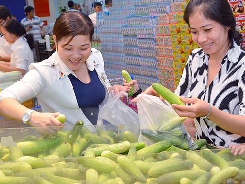 Dưa leo giúp gan, thận và ruột thanh lọc độc tố trong máu Ảnh: TẤN THẠNH Dưa leo giúp gan, thận và ruột thanh lọc độc tố trong máu Ảnh: TẤN THẠNH