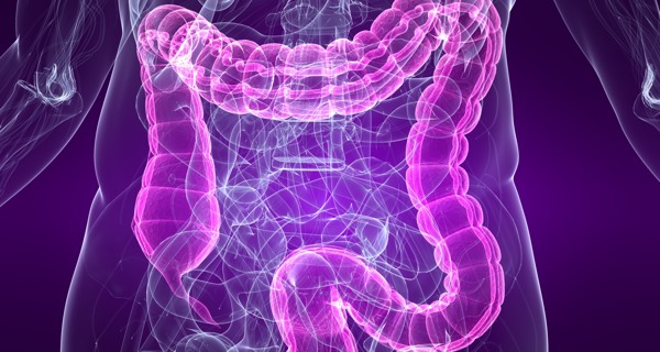 7 lợi ích tuyệt vời từ trái ớt xanh - Ảnh 1 7 lợi ích tuyệt vời từ trái ớt xanh - Ảnh 1
