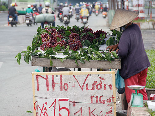 chot-12-d6c65-2357-1413080195.jpg