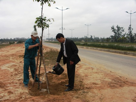 Trồng 50 cây sao đen trên đường Võ Nguyên Giáp