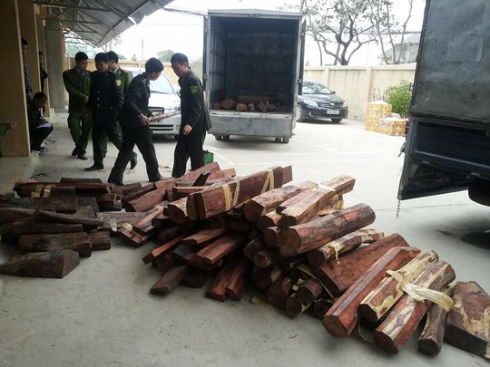 Lực lượng chức năng đang kiểm kê số gỗ quý không giấy tờ chuyển từ TP HCM ra Hà Nội bằng đường hàng không