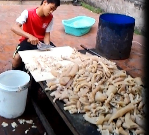 Làng mỡ bẩn 1