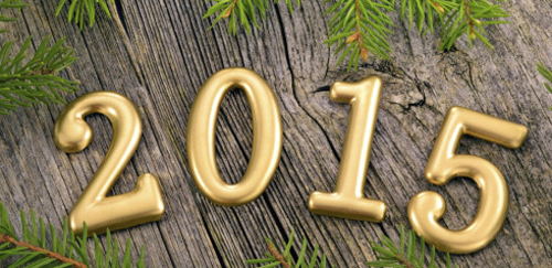 newyear-5447-1419204582.jpg