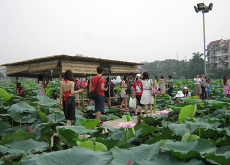 Không ít bạn không hài lòng khi muốn ảnh cổ xưa lại vướng nhà bê tông, cao tầng.