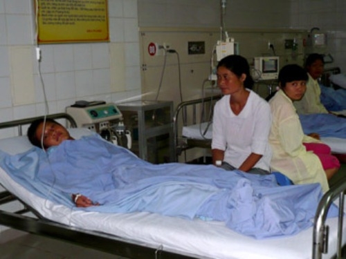 Bệnh sốt mò: Diễn tiến bệnh sốt mò tại Việt Nam.