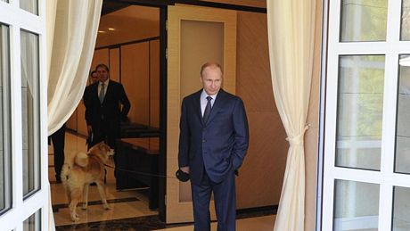 Ông Putin đứng cạnh chó cưng Yume khi chờ đón Thủ tướng Nhật.