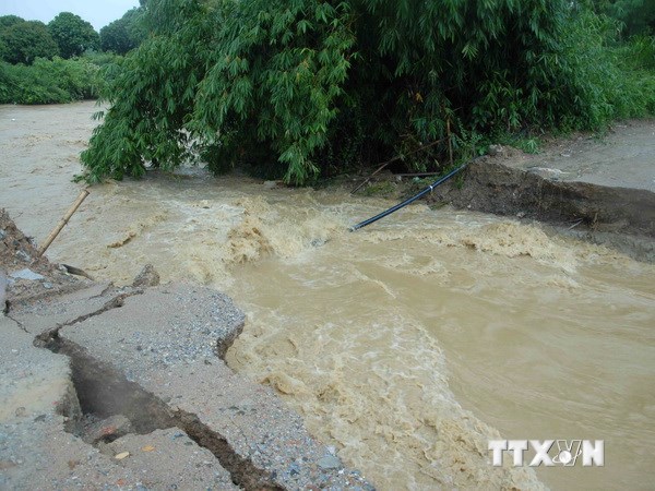 Nước lũ cuốn trôi nhiều ruộng lúa và hoa màu của người dân. (Ảnh: Xuân Tư/TTXVN)