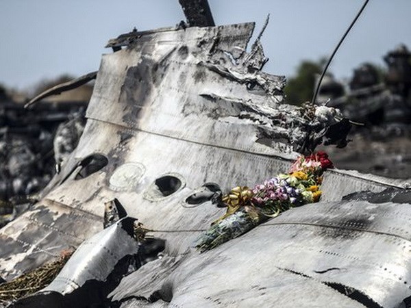 Một mảnh vỡ của chiếc máy bay MH17 bị rơi ở Đông Ukraine. (Nguồn: AFP)