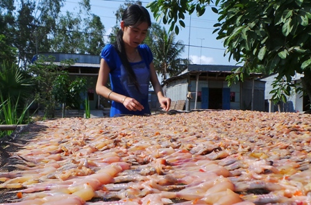 Theo chị Nguyễn Thị Lan cho biết, trung bình 4kg nhái tươi cho ra 1 kg khô nhái