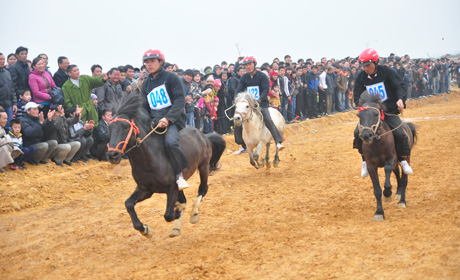 Cuộc đua tam mã ở vòng chung kết.