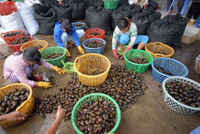 Những chợ đặc biệt chỉ có trong mùa lũ 