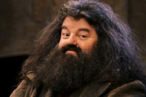 harry-potter11-Webphunu.net