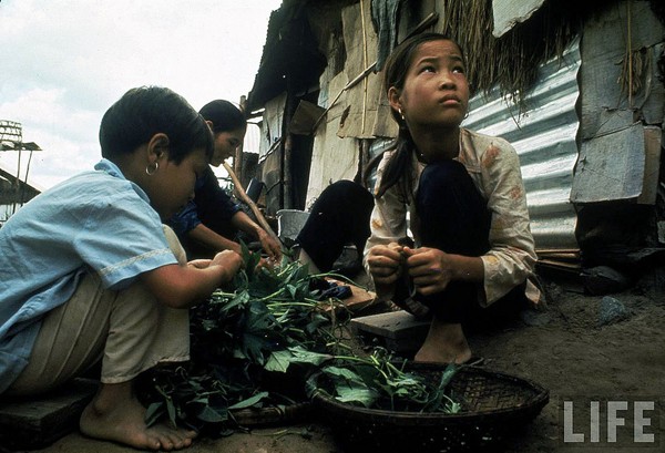 Những bộ ảnh cảm động về nghị lực của người Việt khiến hàng triệu trái tim thổn thức 11