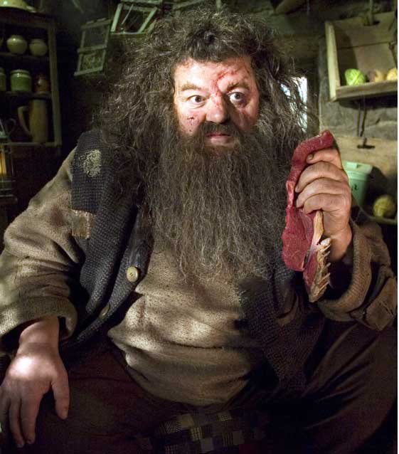 harry-potter12-Webphunu.net