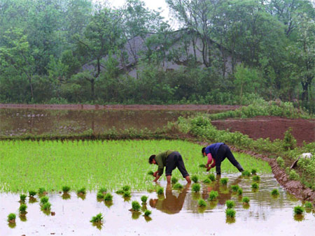 Tỷ lệ tự tử của Trung Quốc vào khoảng 22,2/100.000 người, so với 10,3/100.000 người của Mỹ.