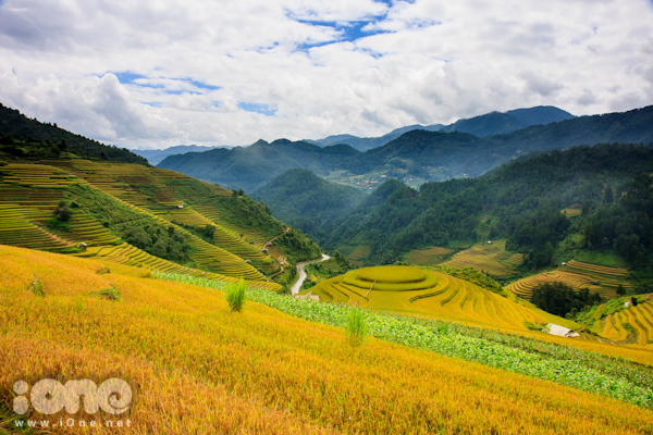 mu-cang-chai-16-JPG.jpg