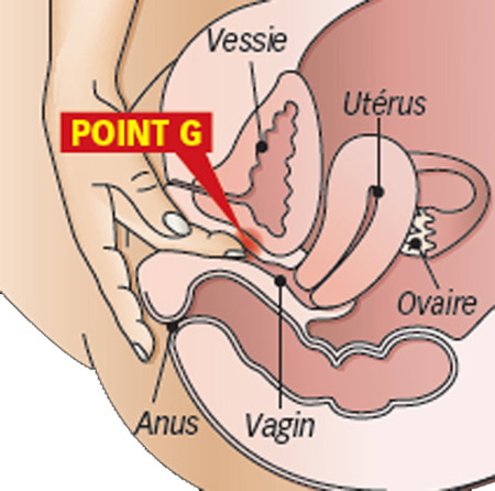Vị trí điểm G trong cực khoái Vị trí điểm G trong cực khoái