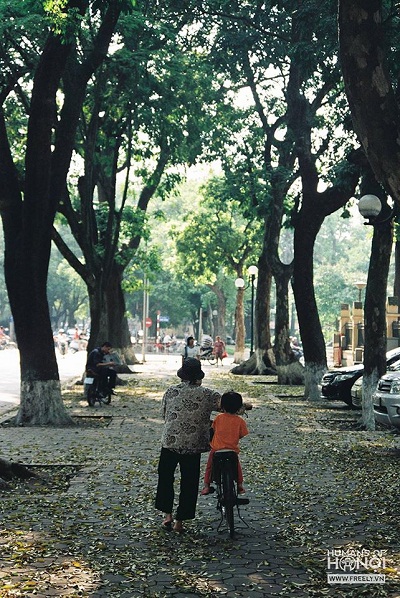 “Chú ơi, chú đứng gọn vào cho bà còn đưa em về nào. Trời nắng quá!”.