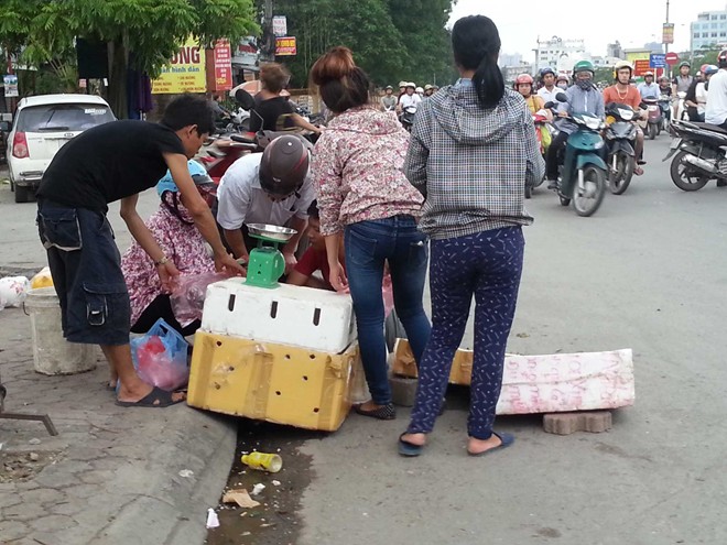 Giá rẻ bất ngờ nên nhiều người đi đường dừng lại mua.