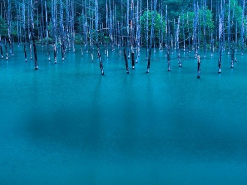 Blue-Pond-in-Hokkaido4-550x412-6102-1394
