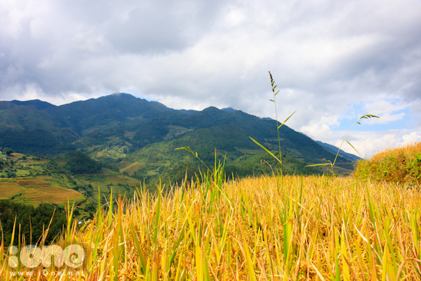 mu-cang-chai-18-JPG.jpg