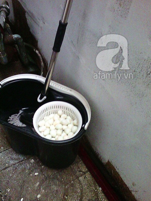 Tiệm bánh tráng trộn nổi tiếng bị nhân viên tố bán bánh và trứng chuột ăn nham nhở 3 Tiệm bánh tráng trộn nổi tiếng bị nhân viên tố bán bánh và trứng chuột ăn nham nhở 3