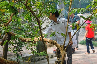 4. Khách dâng hương vua Lê Thái Tổ xong không quên cù cây ổi cười
