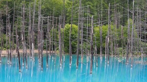 Blue-Pond-in-Hokkaido6-550x309-5795-1394