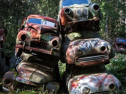 1.000 ô tô cổ bị bỏ quên trong rừng