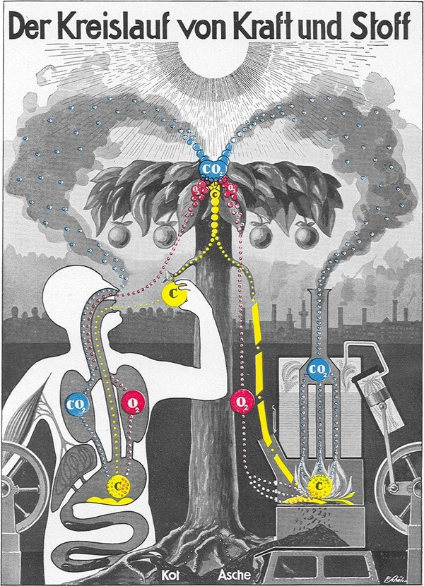 Fritz Kahn – “Bố già” của infographic 3