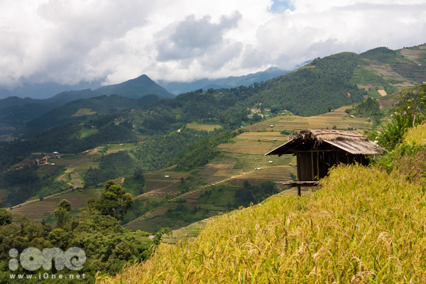 mu-cang-chai-20-JPG.jpg