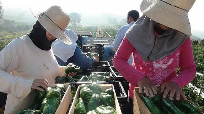 Nữ nhi quốc thời hiện đại lần đầu tiên mở cửa đón....trai