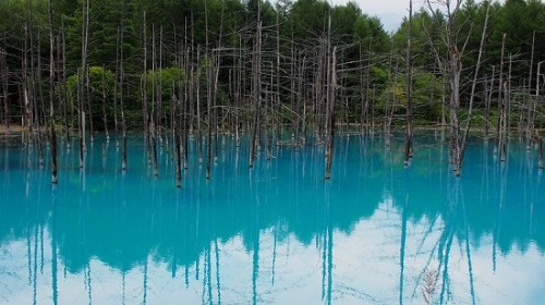 Blue-Pond-in-Hokkaido-550x309-7974-13947