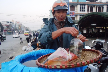 Mỗi túi nilon là 3 chú cá sẵn sàng.