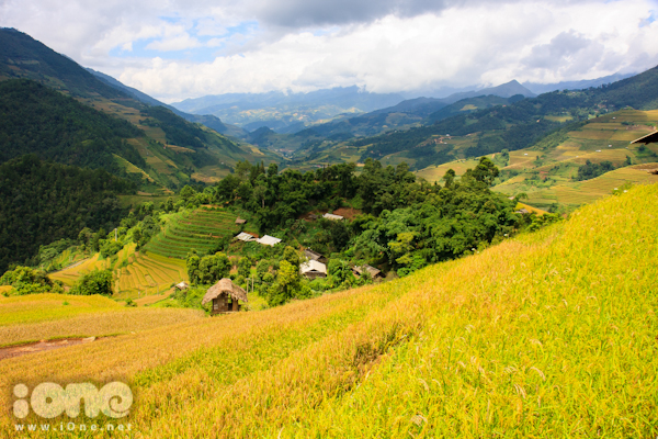 Từng thửa ruộng bậc thang hiện lên rõ nét giữa núi rừng Tây Bắc đang ở tiết thu.