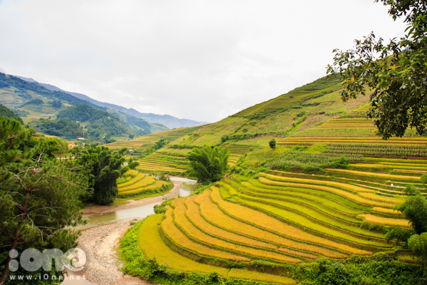 Bức tranh thiên nhiên hùng vĩ cùng với di sản ruộng bậc thang xuất hiện như một món quà dành tặng cho những bạn trẻ mê dịch chuyển.