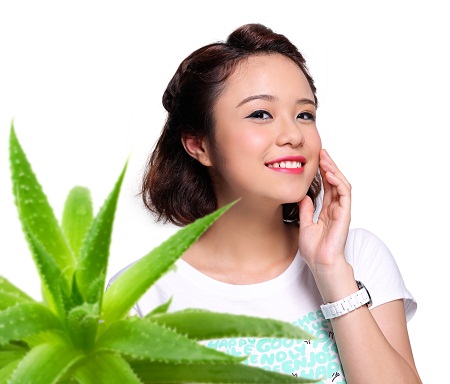 Nha đam là dược liệu cho làn da sáng đẹp.
