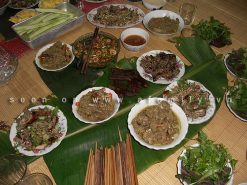 cỗ cưới, thịt chuột, thịt mèo, thịt chó cỗ cưới, thịt chuột, thịt mèo, thịt chó