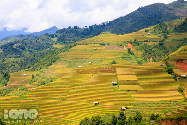 mu-cang-chai-27-JPG.jpg