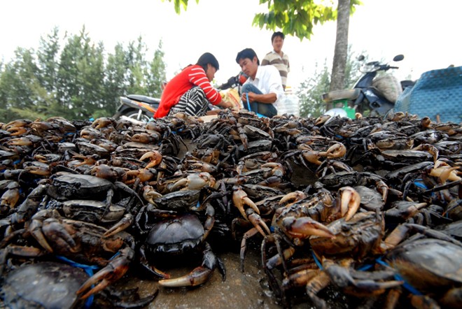 Những chợ đặc biệt chỉ có trong mùa lũ 
